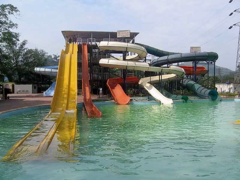 Dolphin Water Park